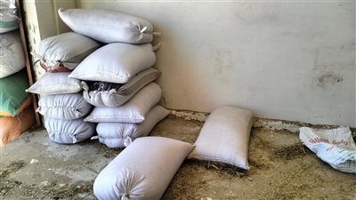 ضبط قمح وسلع منتهية الصلاحية في حملات تموينية بالإسكندرية