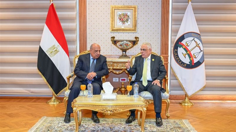 وزير الكهرباء والنائب