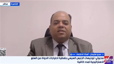 توجيهات رئاسية بتأمين المخزون الاستراتيجي.. وخبير: مصر تمتلك حائط صد ضد الأزمة