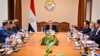 وزير الخارجية يبحث دعم الشركات المصرية في الأسواق الأفريقية