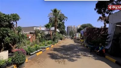 الجمال على طبيعته.. آلاف ينتظرون معرض زهور الربيع لمشاهدة النوادر