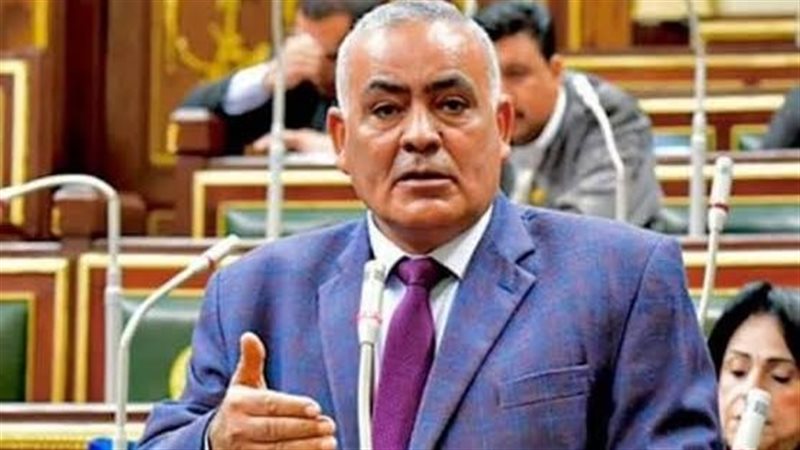 النائب لطفي شحاتة