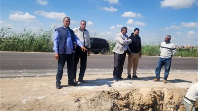 البدء اعمال تطوير وتجميل مدخل ابوالمطامير دمنهور