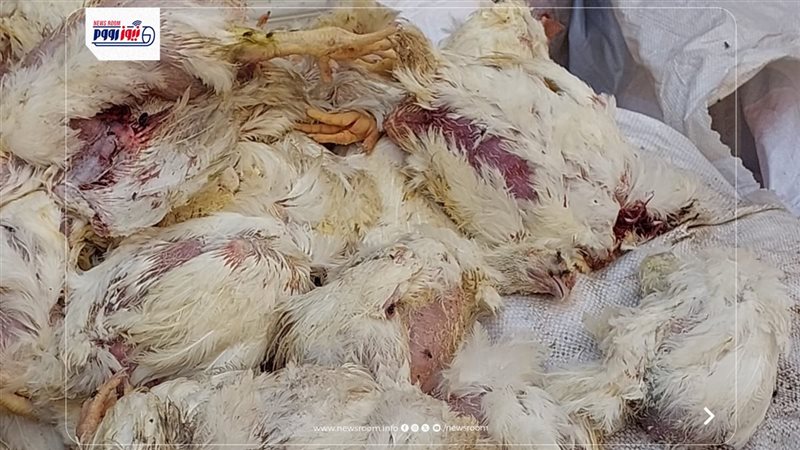 المضبوطات