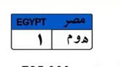 بمشاركة 4 مزايدين.. سعر لوحة «هـ و م 1» يصل 725 ألف جنيه قبل ساعات من الحسم