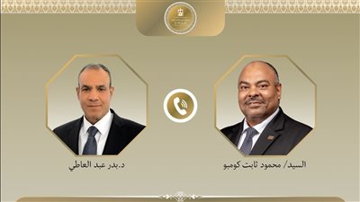 وزير الخارجية يؤكد لنظيره التنزاني أهمية التعاون في ملف نهر النيل