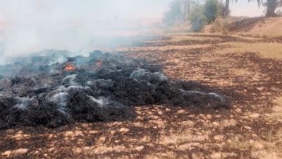 حريق يلتهم 3 أفدنة قمح بمشروع وادي الصعايدة في إدفو بأسوان