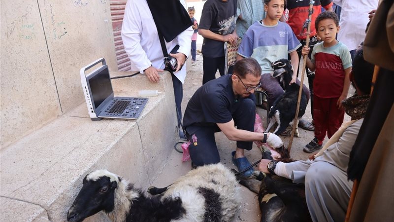 التطعيم