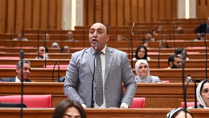 حسام حسن 