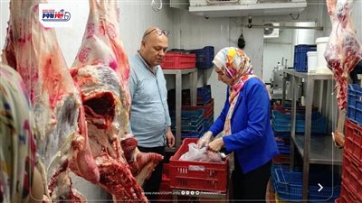 حملات رقابية مكثفة.. تشميع 31 منشأة وتحرير 71 محضرًا بمركزين في المنيا 