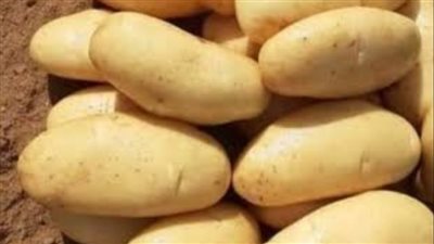     دراسة تكشف تأثير البطاطس في تطور الجينات لدى بعض الشعوب