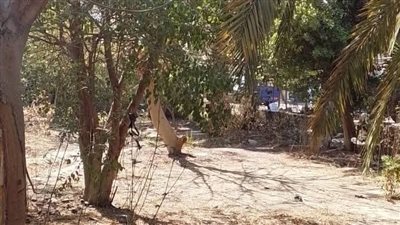 استجابة فورية لشكاوى المواطنين.. حي الأربعين بالسويس يرفع كفاءة النظافة 