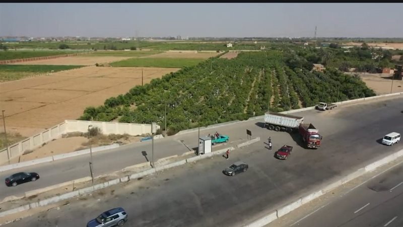 الطرق - أرشيفية 