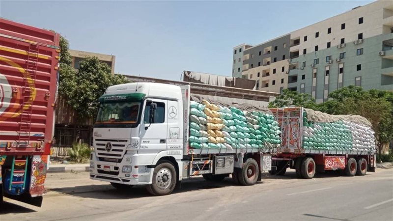توريد القمح بالقليوبية