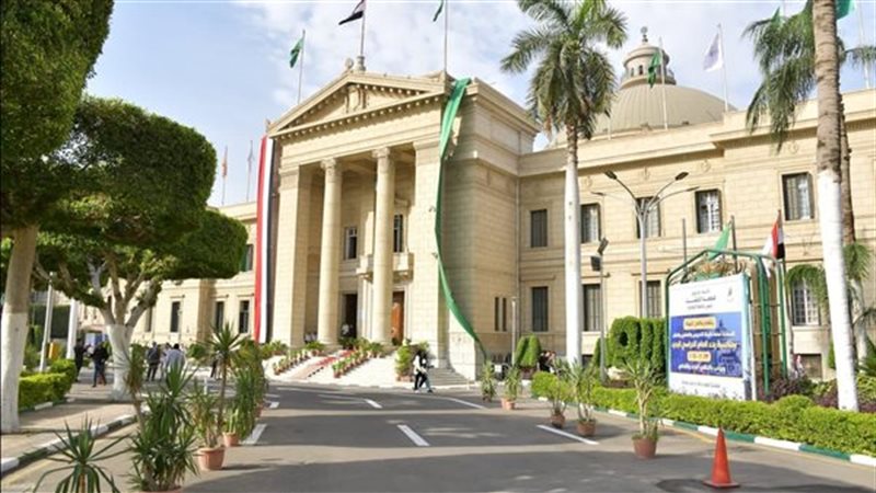 الجامعات الدولية