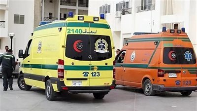 الاماكن مختلفه والمصير واحد.. مصرع شخصين بحوادث مختلفة فى الدقهلية 