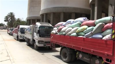 توريد أكثر من 81 ألف طن قمح لصوامع الغربية.. واستمرار الاستلام حتى منتصف أغسطس