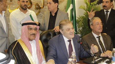 رئيس الوفد: القبائل العربية كانت جزءًا أصيلًا من الحركة الوطنية المصرية