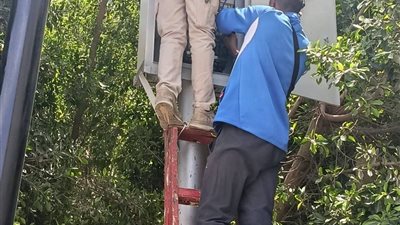 استمرار أعمال صيانة ورفع كفاءة الإنارة العامة بمناطق حي السويس