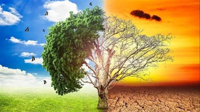 قبل موعده الرسمي| مصر تدخل مرحلة الصيف المناخي وتحذير للمواطنين من ضربات الشمس