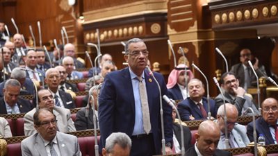 محمود مسلم عن المدارس اليابانية: من أنجح المبادرات التي رعاها الرئيس السيسي