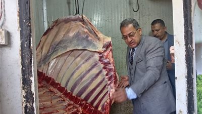 ضبط ذبيحة غير صالحة للاستهلاك الآدمي داخل محل جزارة بالشرقية