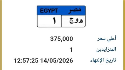مزاد على لوحة سيارة مميزة يغلق غدًا بسعر 375 ألف جنيه
