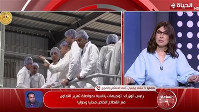 هل نجحت الحكومة في تذليل العقبات امام المستثمرين؟ خبير يحسم الجدل