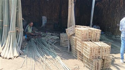 محافظ القليوبية يتابع جهود هيئة تنشيط السياحة في تصوير المعالم الأثرية 