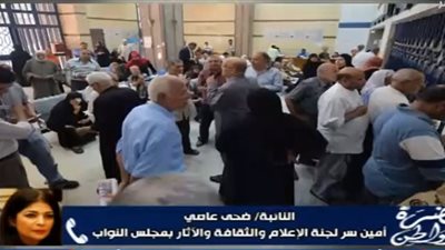 ضحى عاصي: رفع المعاشات يجب أن يكون واقعيا.. وزيادات 20% «ممكنة التطبيق»