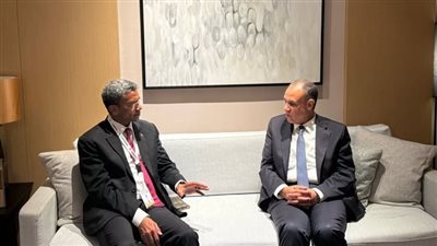 وزير الخارجية يشيد بمرور 50 عامًا على العلاقات مع سيشل