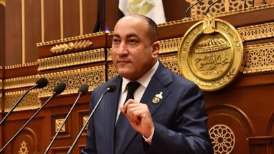 النائب عمرو رشاد: الرئيس وضع خارطة طريق واضحة لتعزيز مكانة أفريقيا عالميًا