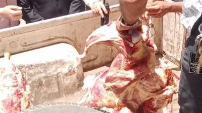 ضبط 150 كم لحوم مذبوحة خارج السلخانة بمدينة قويسنا بالمنوفية