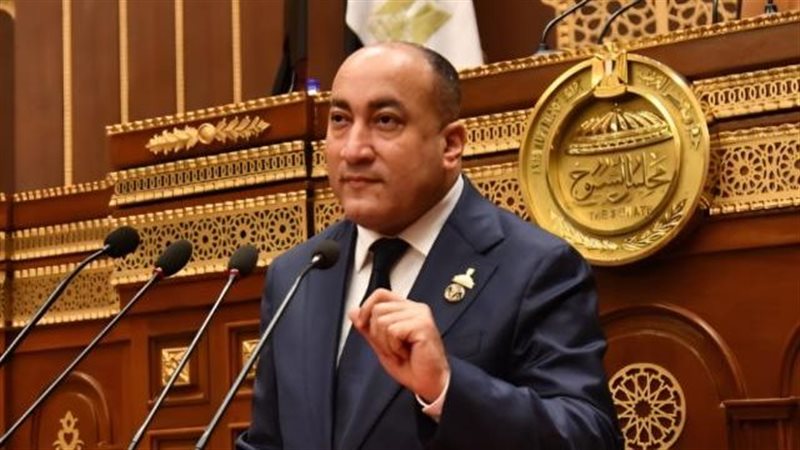 عمرو رشاد 