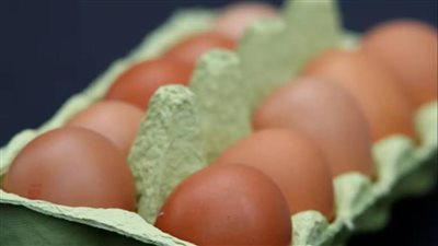     خبر سار لعشاق البيض.. دراسة تربطه بانخفاض احتمالات ألزهايمر