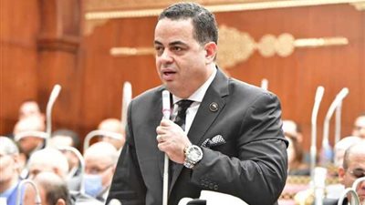 النائب عصام هلال: التطوير في المطارات لا يواكب توقعات المواطنين والمسافرين