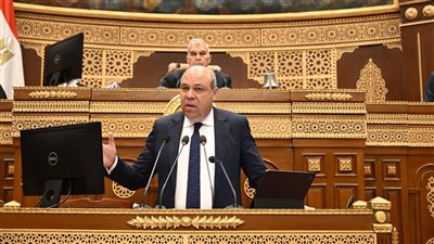 أمام الشيوخ .. وزير الطيران يتسعرض التحديات الاستثنائية أمام القطاع 