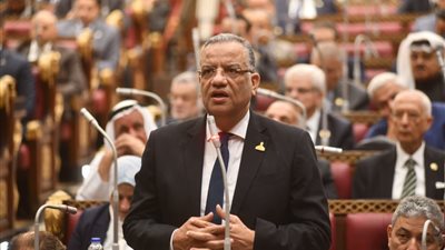 د.محمود مسلم: الطيران  معضلة حقيقية في مواجهة وعد ال الـ