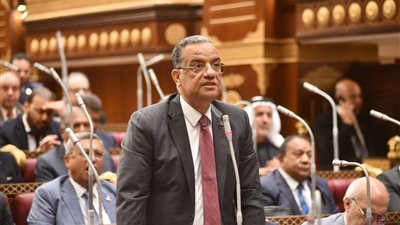 النائب محمود مسلم: قطاع الطيران يمثل تحديًا أمام مستهدف 30 مليون سائح