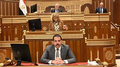إيهاب زكريا أمام الشيوخ: «مصر للطيران» تواجه تحديات بسبب المنافسة الإقليمية 