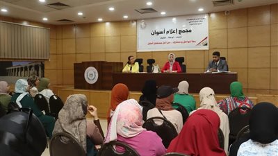 «يلا نشتغل».. أسوان تدعم الشباب بمبادرات للتأهيل والعمل والتنمية