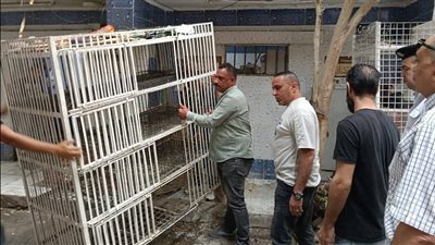 محافظة الجيزة تستجيب للمواطنين وتشن حملات مكبرة لرفع الإشغالات بعدد من الشوارع