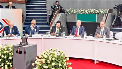 خلال قمة إفريقيا - فرنسا..  سويلم: ارتباط وثيق بين الأمن المائي والأمن الغذائي