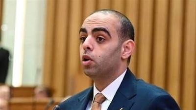 حسن عمر حسنين: نطالب باستراتيجية علمية شاملة للحد من مخاطر الكلاب الضالة