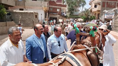 قافلة بيطرية بالدقهلية تعالج 185 حيوانًا و3500 طائر بقرية شنفاس