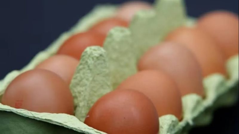 دراسة: تناول البيض