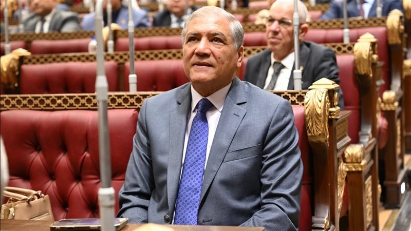 عفت السادات 