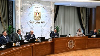  لدعم الأسرة المصرية.. الحكومة توافق على مشروع قانون إنشاء الصندوق التكافلي