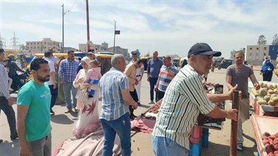 البحيرة: فرض الانضباط بشوارع المحمودية وسط حملة مكبرة 