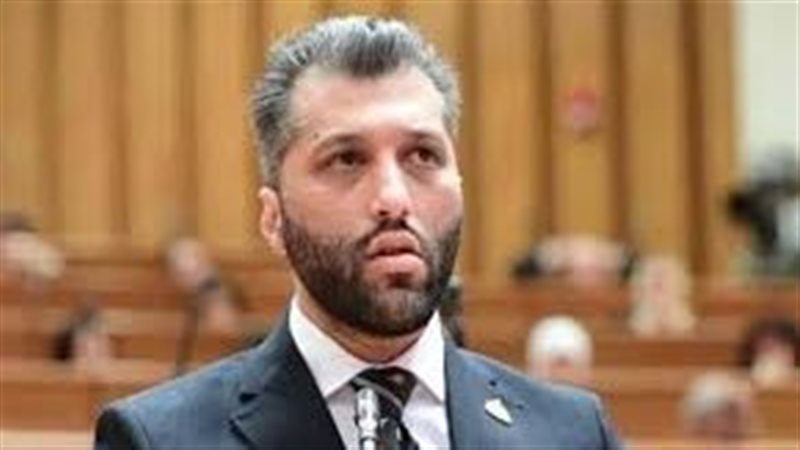 النائب محمد عكاشة